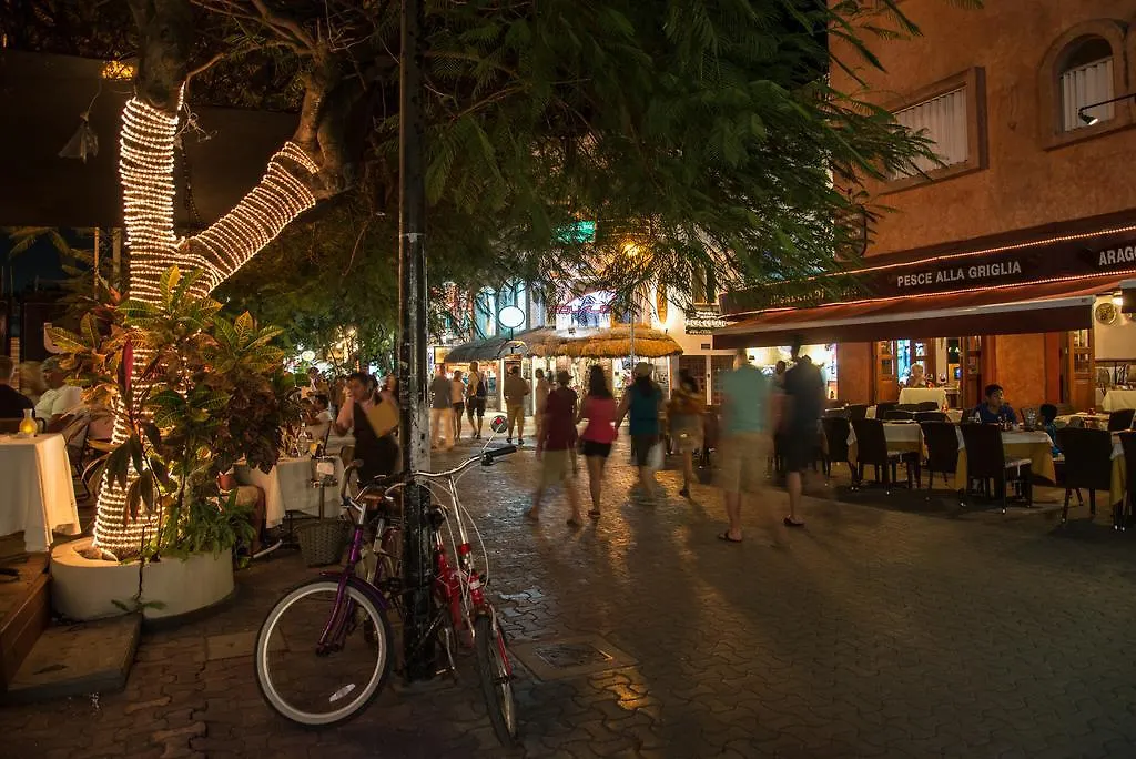 Blue Parrot On 5Th Avenue Hotel Playa del Carmen