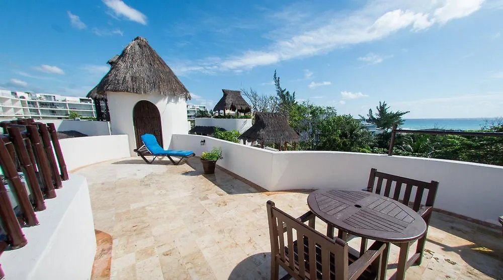Blue Parrot On 5Th Avenue Hotel Playa del Carmen