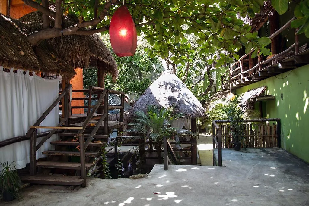 ***  Blue Parrot On 5Th Avenue Hotel Playa del Carmen Mexico